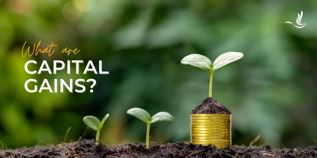What Are Capital Gains?